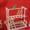 Inne zapasy ptaków Parrot Stand Duże półka z szelfem Taca Swing Tray Drewniana drabina gniazdo skrzynia hodowlana ZP6301125