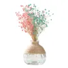 花瓶クリエイティブ透明なガラス花瓶モダンミニマリストの水耕栽培花瓶北部の家の装飾花瓶装飾ドライフラワー花瓶