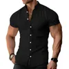 Chemises décontractées pour hommes Chemise pour hommes Col de bande Chemisier Boutonné 1 PC Confortable Fitness Muscle Polyester Régulier