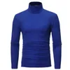 Primavera outono masculino gola alta manga comprida cor sólida rollneck camisola quente masculino jumper fino ajuste de fundo simples camiseta 240309