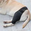 Ubrania dla psa Uraz Urbowanie nóg Pasek Ochrona Bandaż Bandaż Bandaż Zabrogowy zapasy do zmniejszenia akcesoriów bólowych