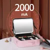 Bins PU Leather Cosmetic Bag Dimmable with Mirror LED Light Makeup Brush Storage Box Multifunctional Large Capacity for Female Travel