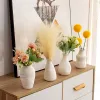 Вазы Современная керамическая бутылка для цветов Скандинавская ваза, предназначенная для гостиной Декоративные цветы Эстетическая ваза Настольный орнамент