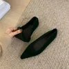 Casual Schuhe Bailamos2024 Frühling Frauen Punkt Zehe Samt Wohnungen Slip Auf Weiche Kleid Elegante Flache Heels Büro Ballett Mujer