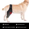 Hundkläder Pet Injury Ben Brace Strap Protect Foint Bandage Wrap Supplies för att minska smärtstillbehör