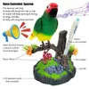 Другая птица поставляет симпатичный поющий игрушечный вокальный робот для мальчиков и девочек Fun Fun Kid's Decor Chirging Electronic