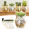 Planters Goldplated Ceramic Succulent Flower Pot Simple Cartoon Animal Owl Design Flowerpot Bonsai Pots Garden Planter Office Decor