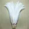 Accessories 1080cm 432inch Natural Sier Pheasant Tail Feathers White Pheasant Feathers for Crafts Wedding Costume Chicken Feathers Plume