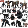 Aktion Spielzeugfiguren Oenux Primitive Wildlife Action Bild Affen Schimpanse Orange Gold Gibbon Modell PVC Mini Childrens Education Toyc24325