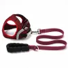 Arneses Arnés para perros Correa Combo Chaleco de entrenamiento para perros reflectante duradero Collar de perros de punto ligero con equipo de tracción LED