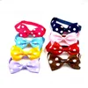 Dog Apparel Adjustable Versatile Fashionable Ribbon Bow Tie For Pets Pet Supplies Fun And Playful Colorful Stylish Trendy Cats