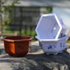 プランターポット1PC六角形のプラスチック磁器のような植木鉢トレイ付きの植林は簡単ではありません盆栽特別な緑の植物屋内240325