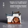花瓶中国スタイルの家の造園アスパラガス特別な植木鉢セラミッククリエイティブホームマイクロランドスケープカラマスジューシープラント