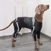 Rompers Pet Dog Clothes Halloween Costume Skull Dog förvandlas till bekväm lek Cool Big Dog Costume