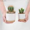 Planters Pots Plant Plant وعاء مزدوج الطبقات النضرة الشباك الخضراء مستديرة الطبقة المزدوجة زهرة النباتات الخضراء الصغيرة وعاء زهرة صغيرة 240325