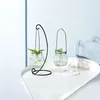 Vaser hängande transparent flaskblomma med järnhylla konst hydroponisk behållare vardagsrum bröllop bordsdekoration