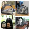 Ensemble de transport pour poussettes et chiens, capsules spatiales transparentes pour chats, cage pliante conçue pour les voyages, la marche, les fournitures pour animaux de compagnie en plein air