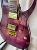 Kundenspezifische GRG220PA-RLB E-Gitarre der RG GIO-Serie, Royal Purple Burst