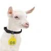 Tags Einstellbare Nylonkragen Haustier Tierhalterhänge mit doppelter Seriennummer für Farm Vieh Tier -Haustier Ziege Schaf 28 PCs