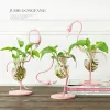 Wazony 3 typy różowy flamingo kształt szklany stołek bonsai kwiat ślub świąteczny
