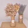 Decoratieve bloemen Natuurlijk gedroogd Pampasgras Buttny Tail Kerstmis Herfst Thanksgiving Oogstfestival Halloween Decor Bruiloft Arrangementen