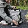 Kattendragers Effen kleur Lichtgewicht tas met grote capaciteit Go Out Draagbare huisdierendrager Ademende Oxford-stofrugzak
