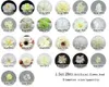 Dekorative Blumen, 28 Stück, künstliche Seidenblumenköpfe, Kombi-Set für DIY Hochzeit, Brautstrauß, Herstellung von Kranz, Girlande, Nummern-Dekor, künstliche Blumen
