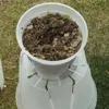 プランターポット苗木プランター植木鉢プラスチック透明植物根のコントロールポット透明な通気性のある保育園庭園植栽蘭容器240325