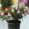 Decorative Flowers Artificial Orchid Flower Miniature Fairy Garden Plants Stakes 9PCS Lily Valley Decoration Gifts For Interior Decor