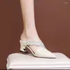 Klädskor 2024Hög kvalitet för damer slip-on kvinnors pumpar slingbacks stängda tå höga klackar spetsiga fest sandaler kvinnor