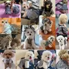 Vêtements de chien Summer Joue Pet Paid Scoule Spende Skirt Spot Set Small Dog Robe Chihuahua Bichon Yorkie Costume de chien 240319