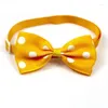 Dog Apparel Adjustable Versatile Fashionable Ribbon Bow Tie For Pets Pet Supplies Fun And Playful Colorful Stylish Trendy Cats