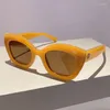 نظارة شمسية Cat's Eye Matte Garge Grade Grady Women Fashion Massioner Designer Sun Visors Wholesale Vintage Glasses