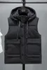 Heren Vesten Vest Heren Winter Casual Bovenkleding Warme Kapjas Dons Katoen Heren Mouwloos Waterdicht Effen Kleur Jassen Parka's X40