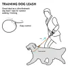 Leashes Dog Slip Lead Dog Leash,Training Leash,Cinch Leash, NoPull Slip Leash and Collar,Heavy Duty&Durable,Padded Handle,for All Breed