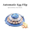 Aksesuarlar 220v 8eggs inkübatör kuluçka kuşu quail inkübatör piliç kuluçkahane inkübatör kümes hayvanı kuluçka turner otomatik çiftlik kuluçka aracı