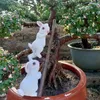Figurine decorative Resina creativa Scala da arrampicata Ornamento Pavimento esterno Fioriere da giardino Artigianato paesaggistico per animali