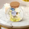 Vasos vaso de flor vidro terrário musgo planta garrafa decorar cortiça decorativa micro paisagismo recipiente diy artesanato vazio