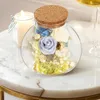 Vazen Bloemenvaas Glas Terrarium Mos Plant Fles Versieren Kurk Decoratieve Micro Landschapsarchitectuur Container DIY Lege Ambachten