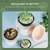 Planters POTS 6 PCS PLASTIC Flower Pot House Plants Home Hushåll Planter Bonsai Pots Succulent 240325