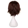 Wigs QQXCAIW Short Straight Cosplay Wig Men Dark Brown Synthetic Hair High 100% Temperature Fiber Wigs