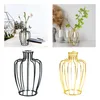 Vases Fer Art Vase Verre Planteur Titulaire Hydroponique Plante Tube À Essai Pour La Fête Célébrer Jardin Table Top Décor Pelouse