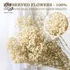 Fleurs décoratives 100g gypsophile naturelle séchée souffle de bébé noël Boho décoration de la maison Paniculata fête de mariage Po accessoires décor