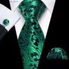 Neck Ties Neck Ties Luxury Mens Ties Set Green Leaves Floral Paisley Striped Neck Tie Handkerchief Cufflinks Wedding Free Shipping BarryWang 6470 Y240325