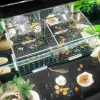 Tanques caixa de criação de aquário, isolamento de tanque, incubadora suspensa para camarão, peixe-palhaço (com ventosas)