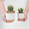 Planters POTS Automatisk vattenabsorptionslagring Plastflowerpot Rund dubbelskikt Succulent Planter Pot Liten Green Plant Flowerpot 240325