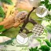 Cages Lizard Lounger Reptile Hammock Bed, Grass Fibers, Bearded Dragon Bed, Gecko Climbing Snake Reptile, Amphibian Hermit Crab Houses
