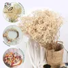 Fleurs décoratives 100g gypsophile naturelle séchée souffle de bébé noël Boho décoration de la maison Paniculata fête de mariage Po accessoires décor