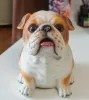 Kutular Sevimli Piggy Bank Yavru Para Kutusu Simülasyonu Köpek Piggy Bank Pug Teddy Corgi Pom Reçine Figürinler Hayvanlar Ev Dekorasyonları Hediyeler