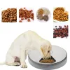 Feeding Pet Dog 6 Grids Automatic Feeding Bowl With Voice Remind 24h Smart Timer Food Dispenser Pet Accessories